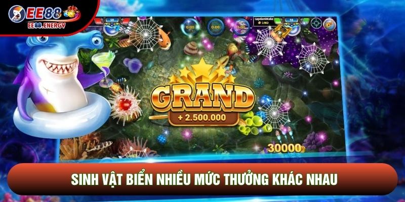 Sinh vật biển nhiều mức thưởng khác nhau Sinh vật biển nhiều mức thưởng khác nhau