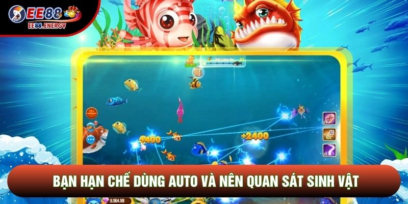 Bạn hạn chế dùng auto và nên quan sát sinh vật