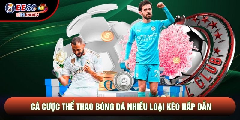Cá cược thể thao bóng đá nhiều loại kèo hấp dẫn