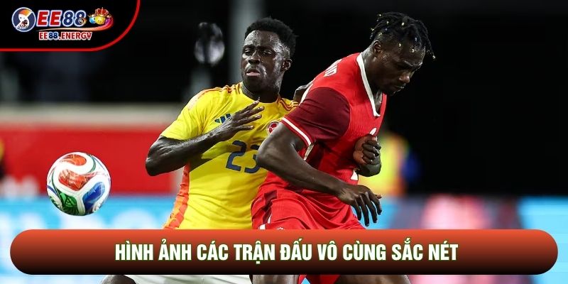 Hình ảnh các trận đấu vô cùng sắc nét Hình ảnh các trận đấu vô cùng sắc nét