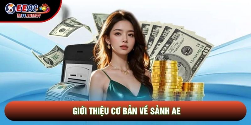 Giới thiệu cơ bản về Sảnh AE