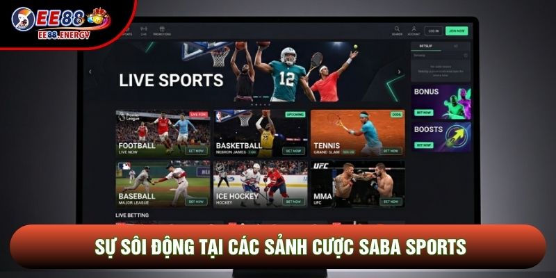 Sự sôi động tại các sảnh cược Saba Sports Sự sôi động tại các sảnh cược Saba Sports