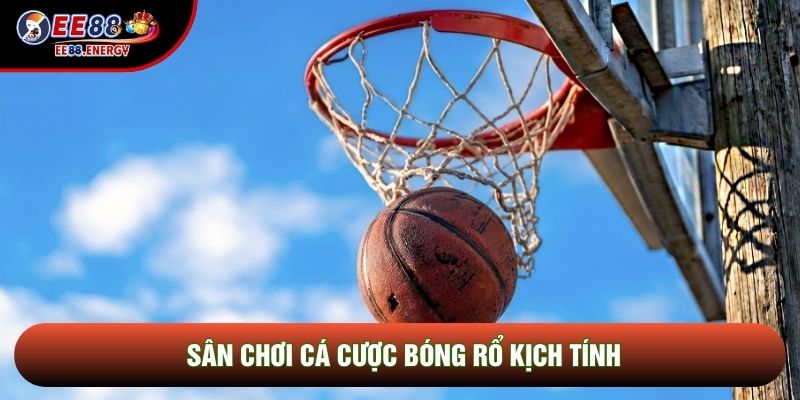 Sân chơi cá cược bóng rổ kịch tính