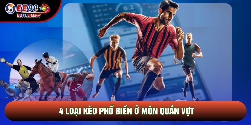 4 loại kèo phổ biến ở môn quần vợt